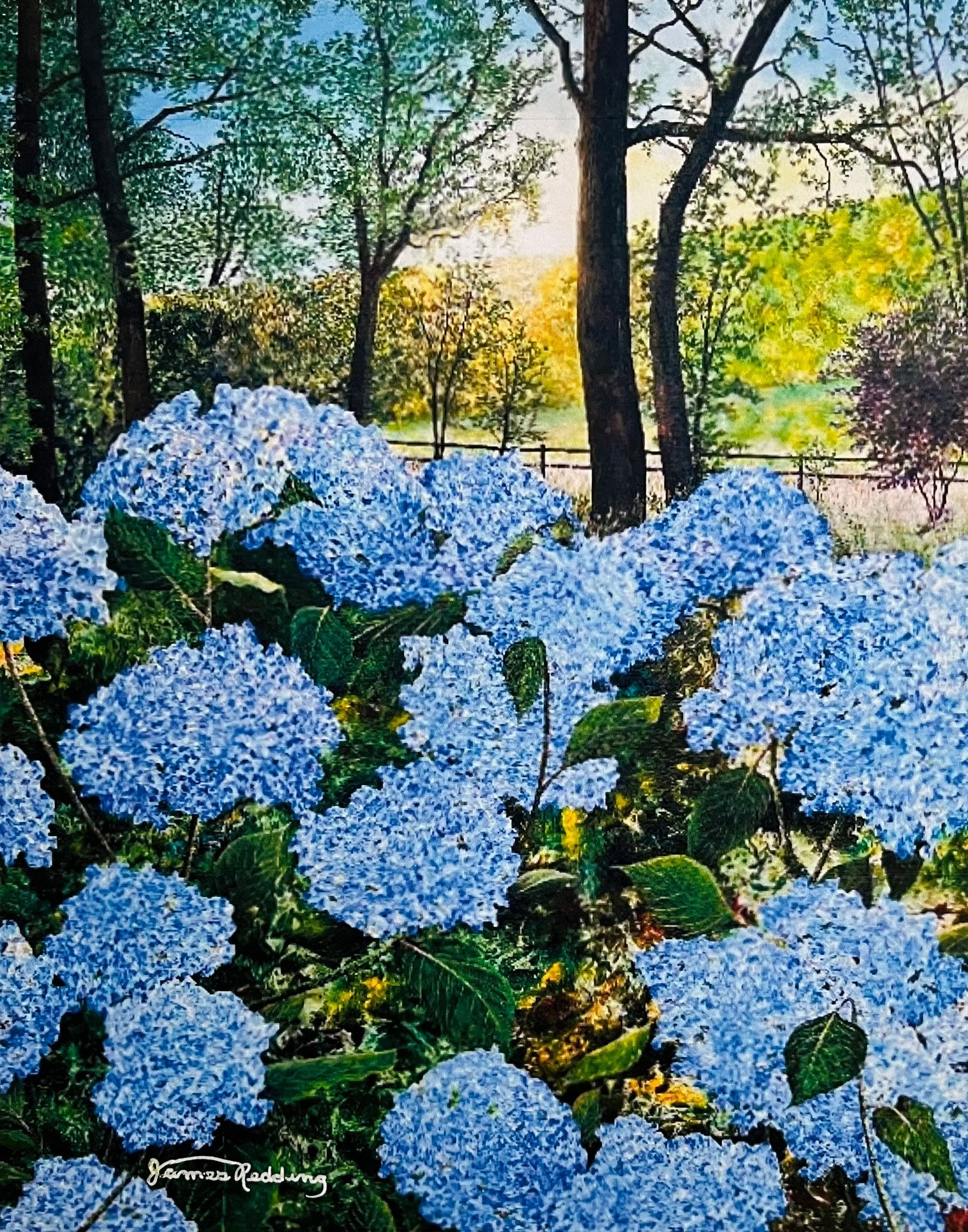 Blue Hydrangea Print - Colorful Landscape - Nature Art - Flowers