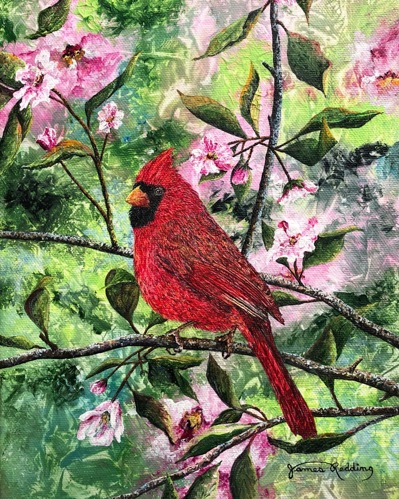 Original Bird Art - Cardinal Painting - Cherry Blossom Art - Pink ...