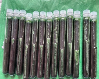 Copepod Food Professional Tuning Kit: Dense Culture Supply