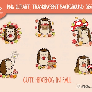 Cute Hedgehog Clipart. Set 2, Fall Set. Autumn set. Personal and commercial use.