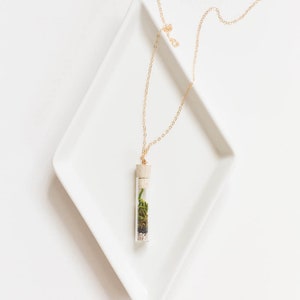 Miniature Terrarium Necklace // A Wearable Organic Ecosystem 14K Gold Filled Chain SHORT with Magnetic Clasp image 2