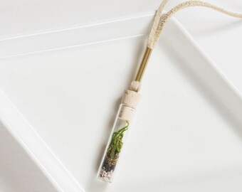 Miniature Terrarium Necklace // A Wearable Organic Ecosystem LIGHT LEATHER with magnetic clasp