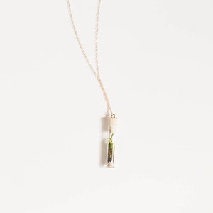 Miniature Terrarium Necklace // A Wearable Organic Ecosystem 14K Gold Filled Chain SHORT with Magnetic Clasp image 7