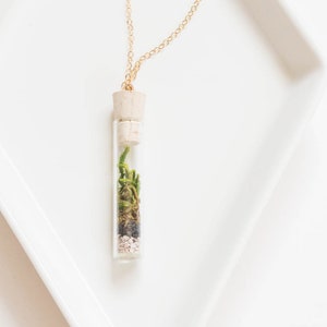 Miniature Terrarium Necklace // A Wearable Organic Ecosystem 14K Gold Filled Chain SHORT with Magnetic Clasp image 5