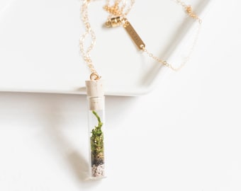 Miniature Terrarium Necklace // A Wearable Organic Ecosystem 14K Gold Filled Chain SHORT with Magnetic Clasp