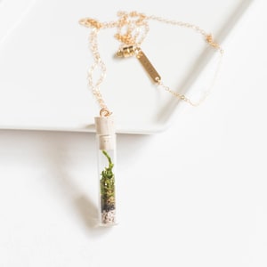 Miniature Terrarium Necklace // A Wearable Organic Ecosystem 14K Gold Filled Chain SHORT with Magnetic Clasp image 1