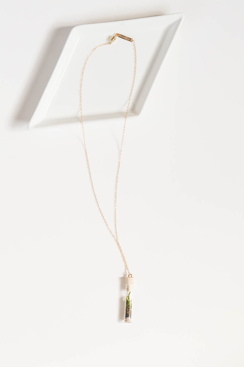Miniature Terrarium Necklace // A Wearable Organic Ecosystem 14K Gold Filled Chain SHORT with Magnetic Clasp image 7