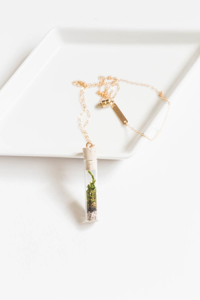 Miniature Terrarium Necklace // A Wearable Organic Ecosystem 14K Gold Filled Chain SHORT with Magnetic Clasp image 1
