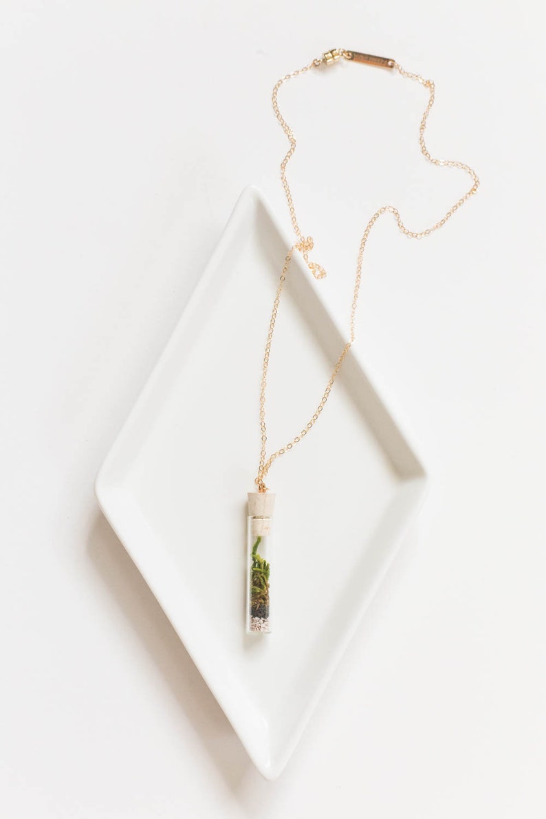 Miniature Terrarium Necklace // A Wearable Organic Ecosystem 14K Gold Filled Chain SHORT with Magnetic Clasp image 2