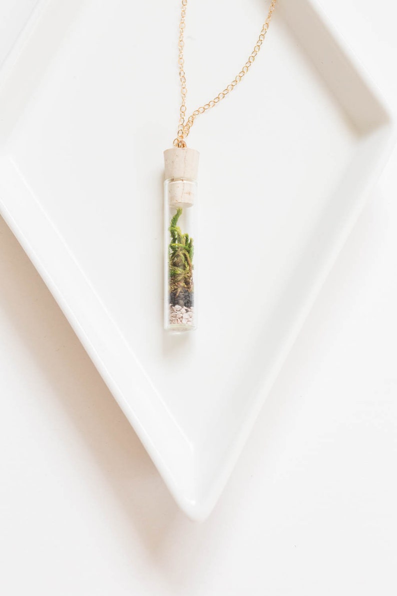 Miniature Terrarium Necklace // A Wearable Organic Ecosystem 14K Gold Filled Chain SHORT with Magnetic Clasp image 5