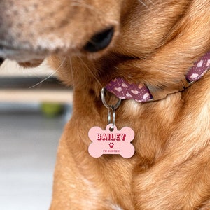 Pet ID Tag, Personalised Dog Tag For Collar, Pastel Bone Shaped Pet ID Tag