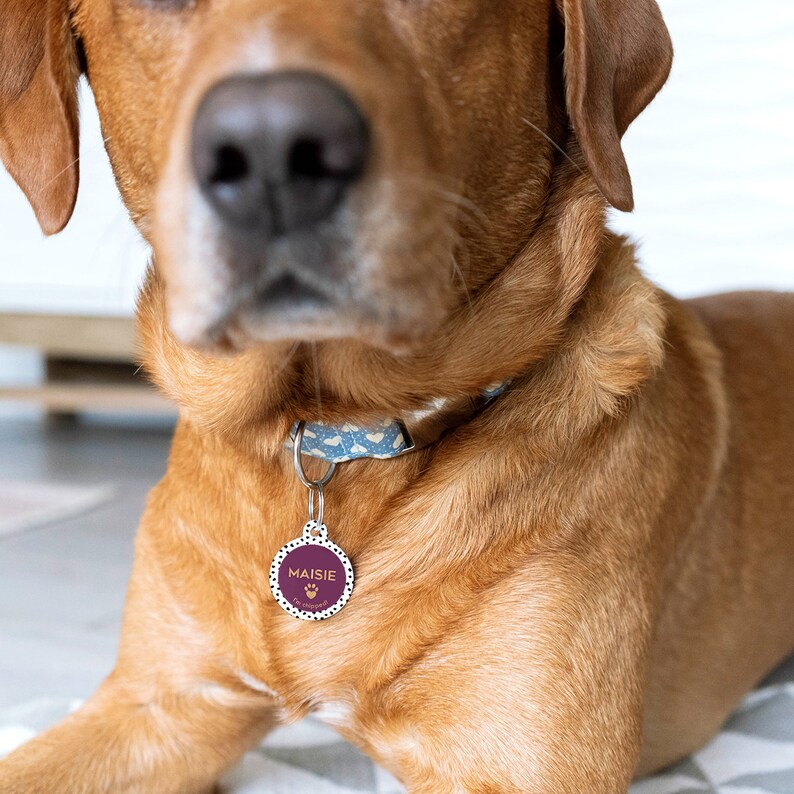Pet ID Tag Personalised Dog Tag For Collar Personalised Dog Etsy