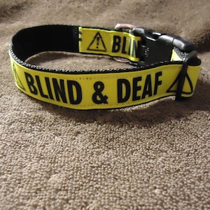 Adjustable Dog Collar: Blind & Deaf Awareness, Martingale or Buckle