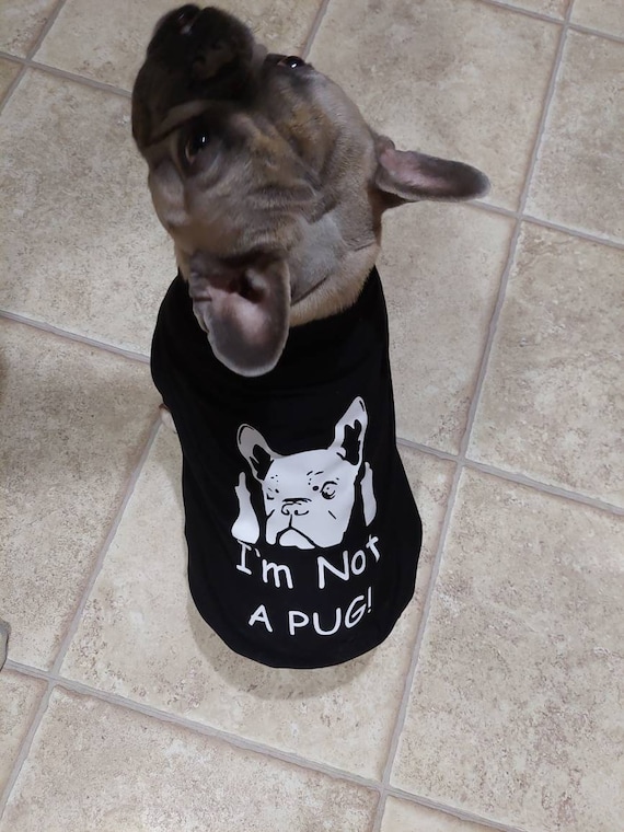 I'm Frenchie Not A Pug T-Shirt I'm Frenchie Not A Pug T-Shirt