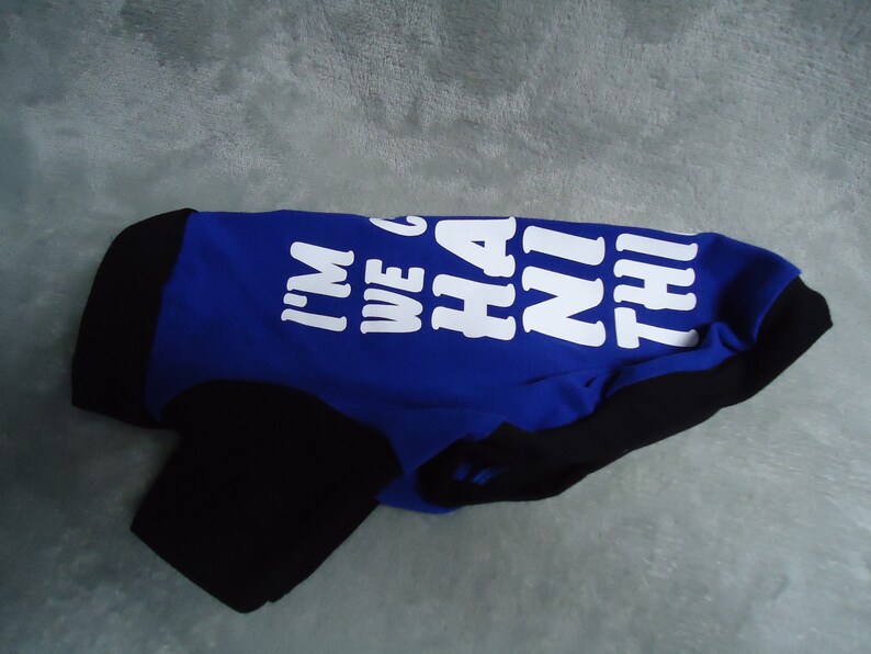 May include: A blue and black dog shirt with the text "I'm we go ha ni thi" printed in white.
