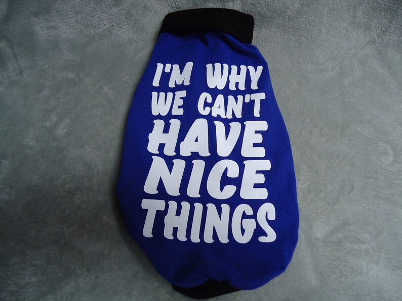 May include: Blue dog shirt with white text that reads "I'm why we can't have nice things."