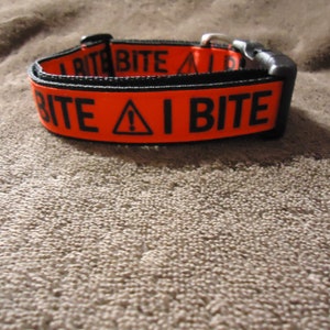 Dog Collar Adjustable "I Bite"  buckle style martingale style leash seatbelt