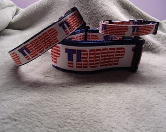 Trump Dog Collar: Patriotic Republican Buckle or Martingale Collar