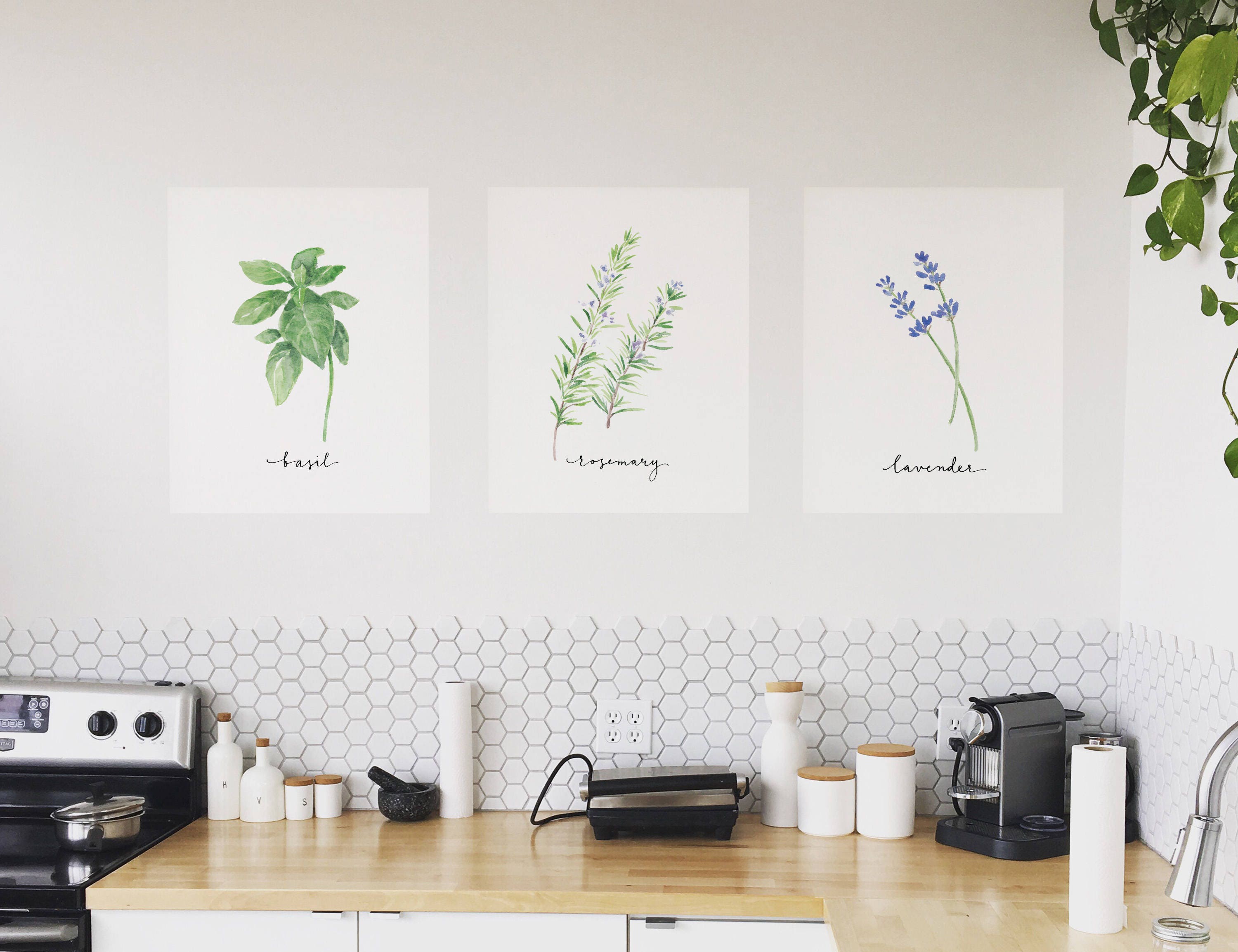 Set of 14 Herbs Printables/watercolor Herb Collection/kitchen Decor ...