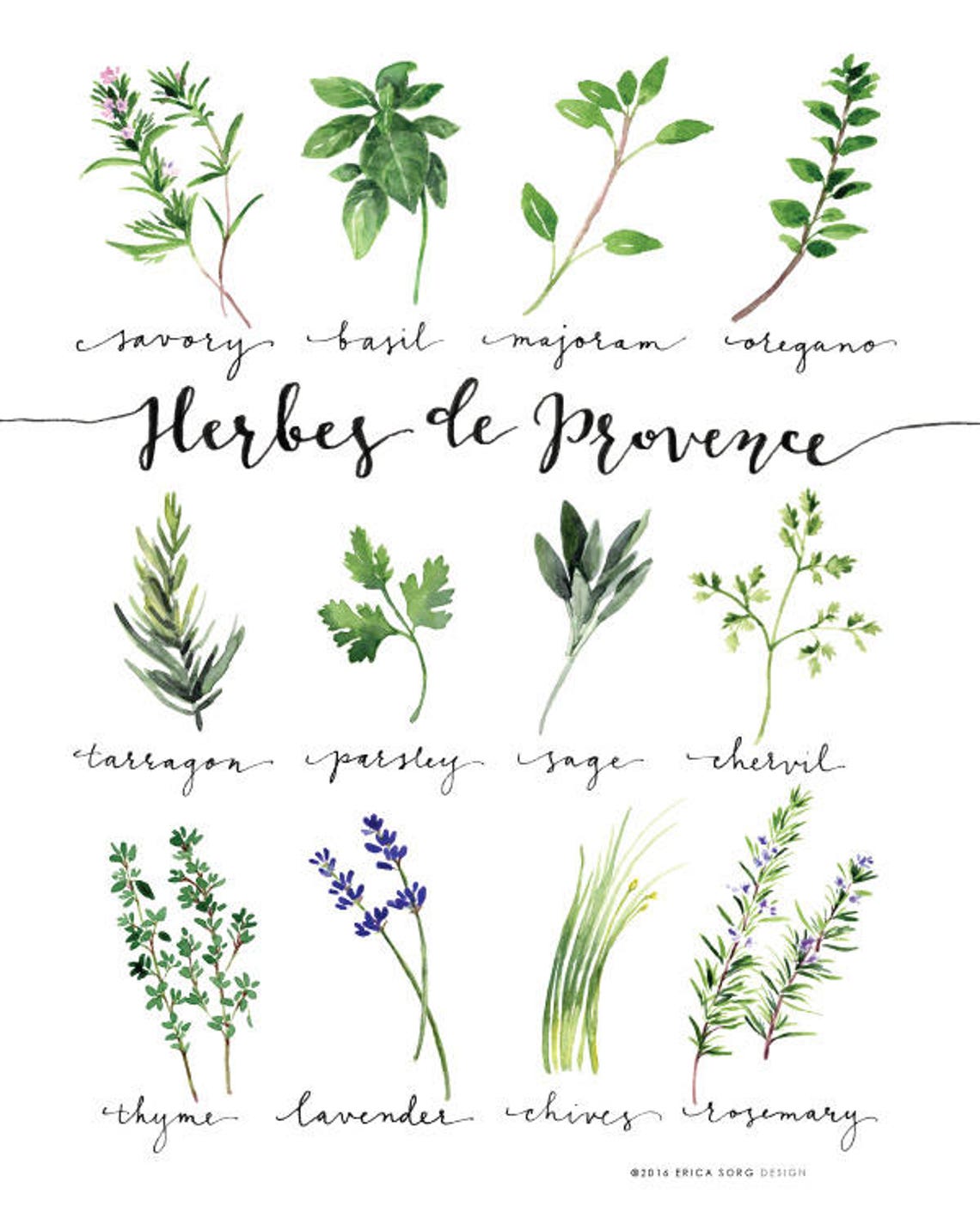 Set of 14 Herbs Printables/Watercolor Herb Collection/Kitchen - Etsy España