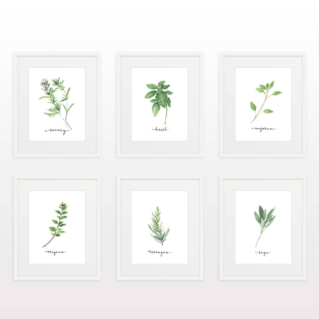 Set of 14 Herbs Printables/watercolor Herb Collection/kitchen Decor ...