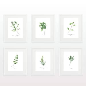Set of 14 Herbs Printables/Watercolor Herb Collection/Kitchen Decor/Herb Wall Signs/Kitchen Wall Art/Herbs Art Prints/Herb Cards/Botanical