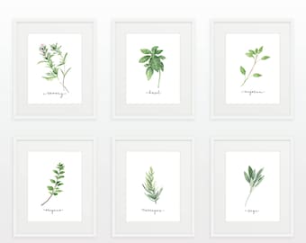 Set of 14 Herbs Printables/Watercolor Herb Collection/Kitchen Decor/Herb Wall Signs/Kitchen Wall Art/Herbs Art Prints/Herb Cards/Botanical