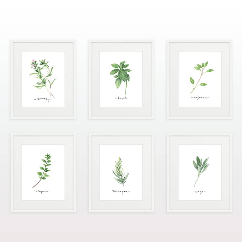 Set of 14 Herbs Printables/Watercolor Herb Collection/Kitchen - Etsy España