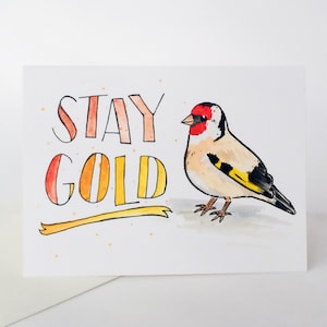 Stay Gold! - cartão ilustrado em aquarela de pássaro pintassilgo
