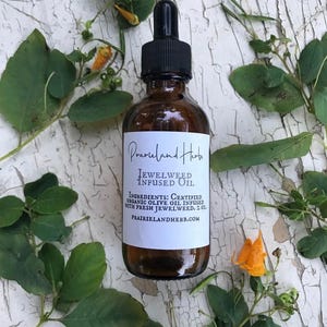 Jewelweed infused oil, organic olive oil, 2 oz bottle