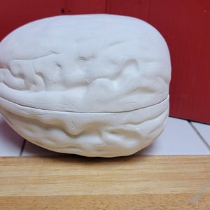 Large walnut shell ceramic bisque box dish