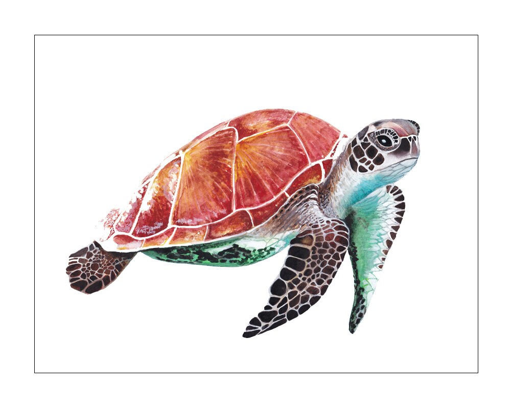 Turtle Giclée Print unframed 0302 Watercolour Painting by Renata Dilyte
