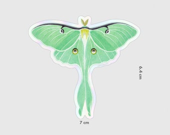 Luna Moth sticker, cute vinyl sticker, laptop sticker (32.00.01)