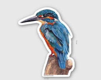 Kingfisher sticker, bird sticker, cute vinyl sticker, laptop sticker, bird lover (30.01.05)