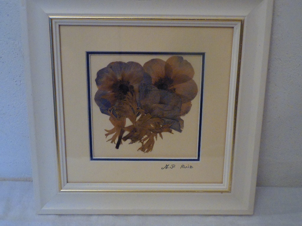 Cadre Fleurs Séchées Naturelles , Trio d'anémones de Couleur Bleu, Vintage 90's, Encadrement Crème, 