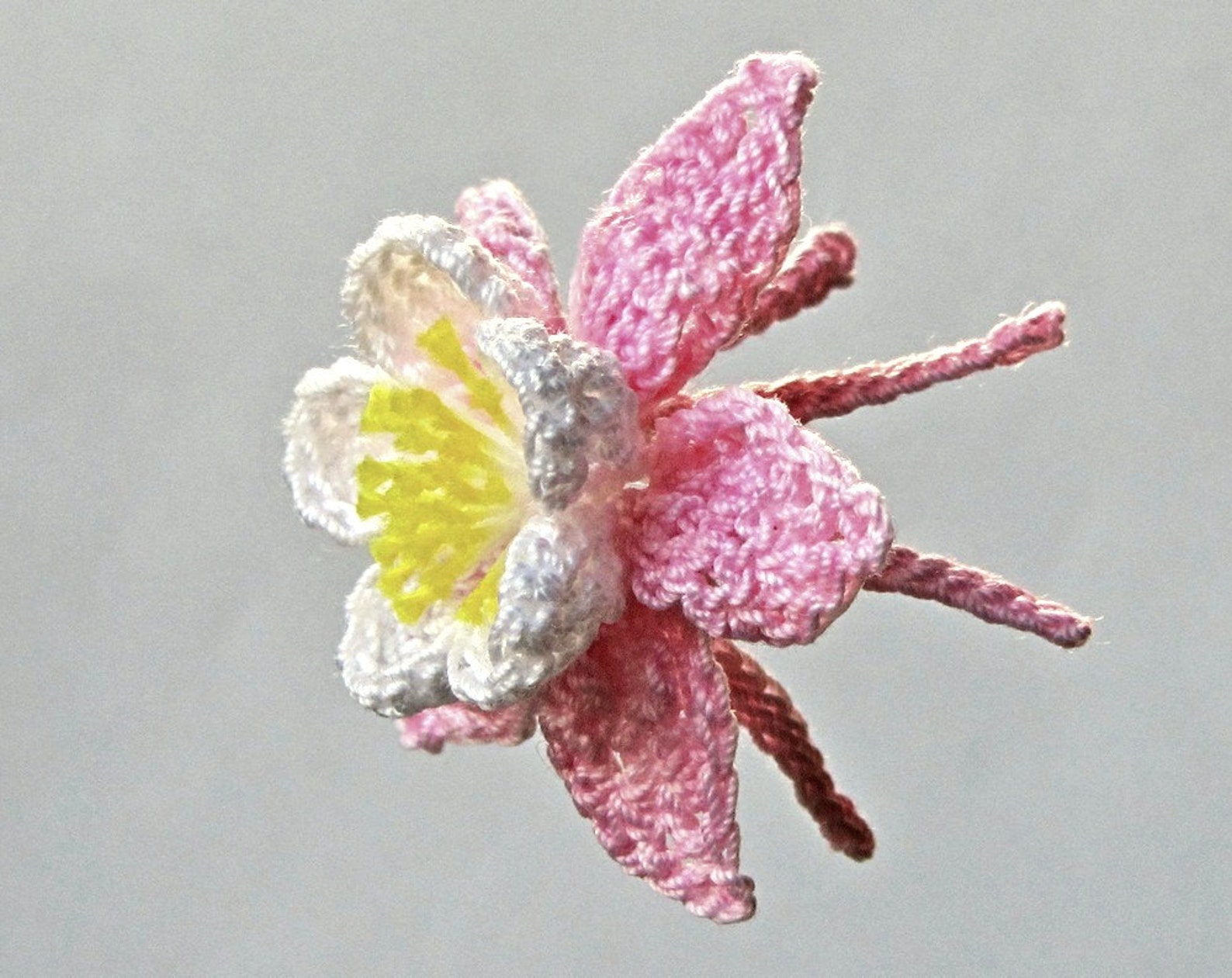 Crochet Columbine PATTERN Instant Download PDF Photo Tutorial Realistic ...