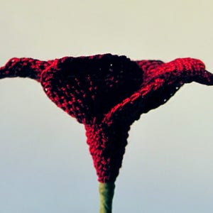 Peut inclure: Une fleur rouge en crochet avec une longue tige. La fleur est faite de fil et a un design d&eacute;licat et complexe.