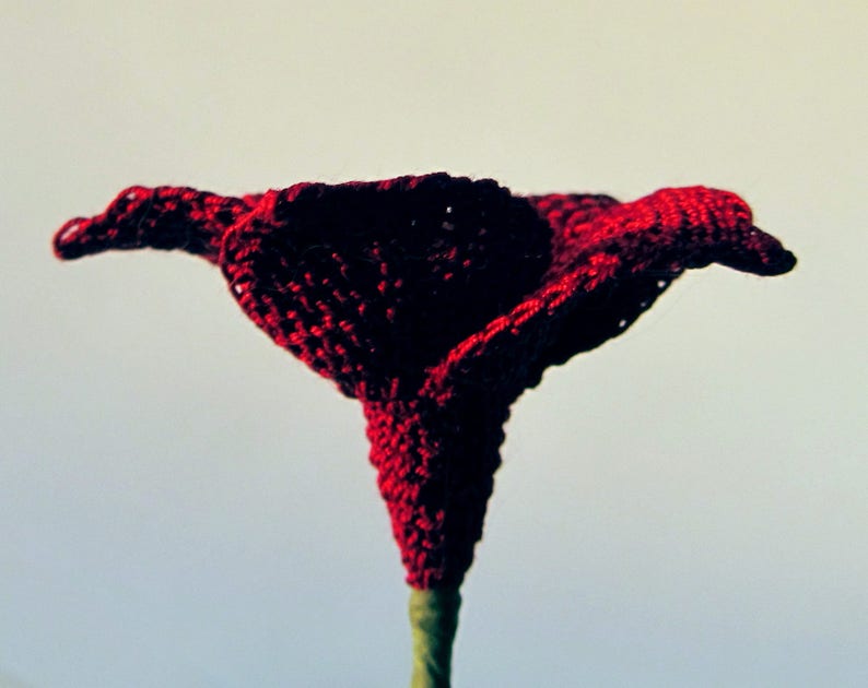 Peut inclure: Une fleur rouge en crochet avec une longue tige. La fleur est faite de fil et a un design d&eacute;licat et complexe.