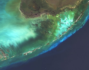Florida Keys Satellite Imagery, Florida, Florida Keys, USA, Aerial Map, Map Art, Vibrant Satellite Image, Natural Color