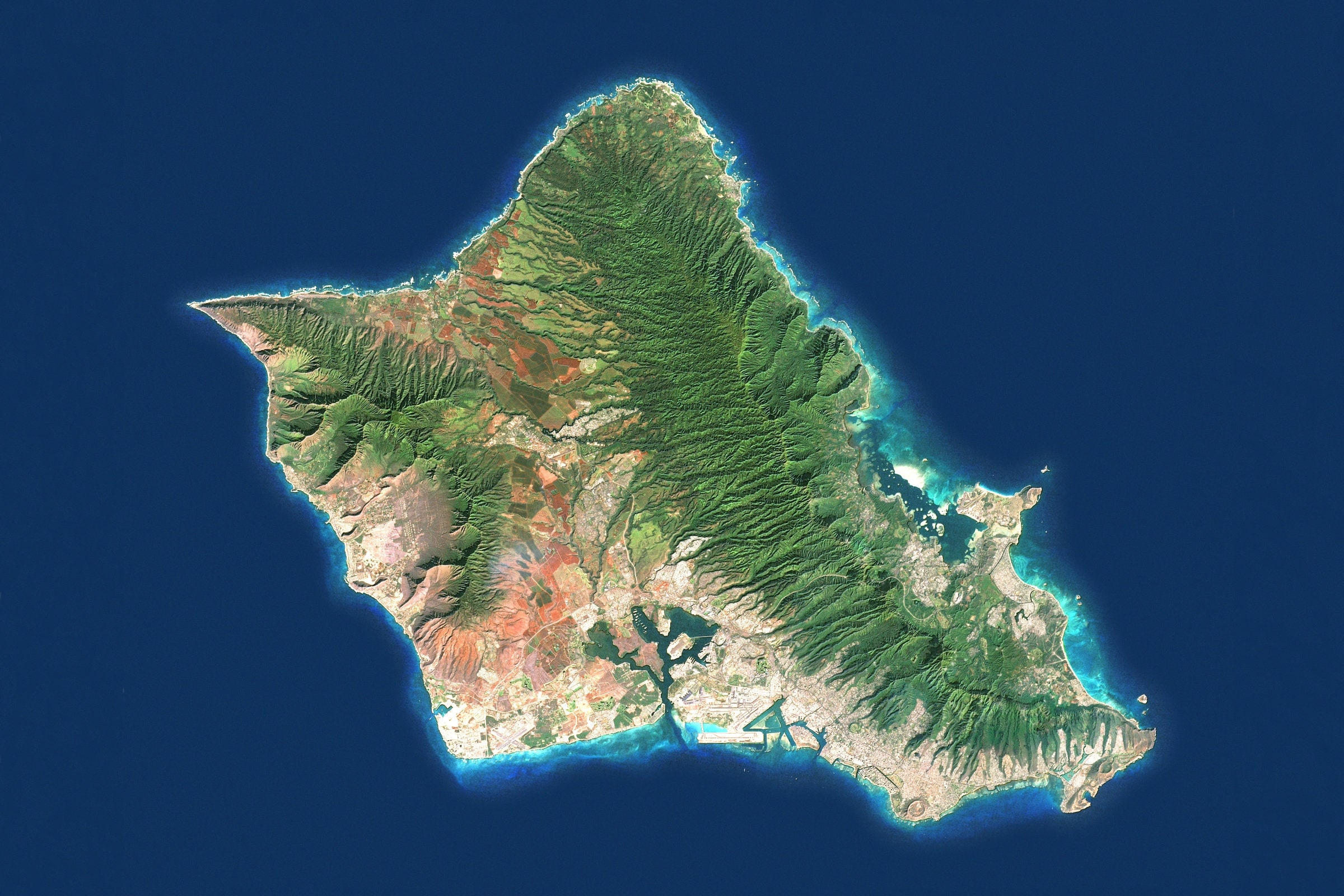 Your Guide To Scoring Incredible Free Stuff On Oahu Craigslist Hacks Revealed - 8nxyr2p