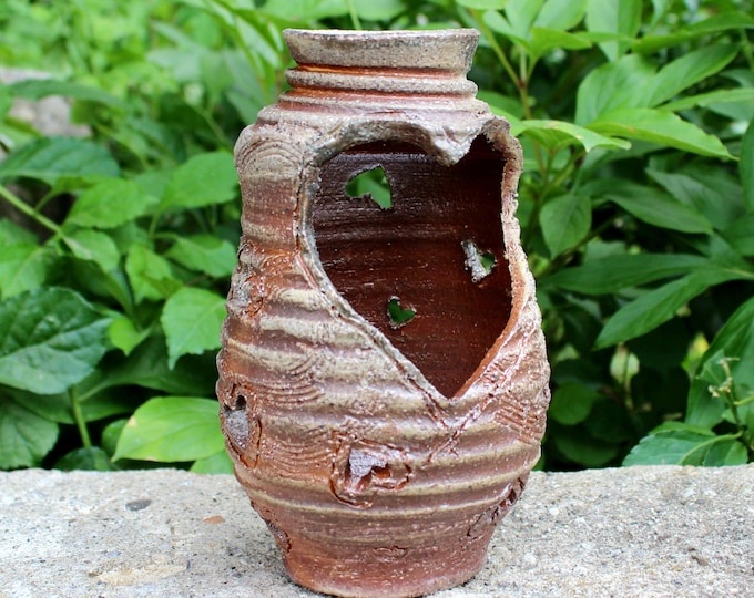 Chagoi Orchid Pot or Luminary