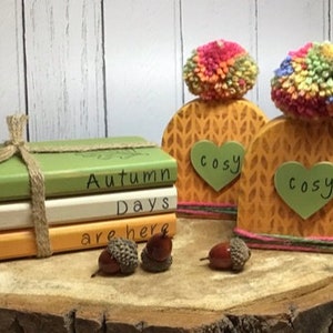 May include: A stack of three books with the text "Autumn Days are here" on the front. The books are decorated with a brown twine bow. Two wooden blocks with pom-poms on top are decorated with a knitted pattern and the word "cosy" in a heart shape.