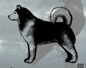 Alaskan Malamute/Husky, Vector for Cricut/ Silhouette, Digital Instant Download svg, dxf, pdf, png