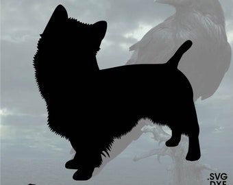 Australian Terrier, Vector for Cricut/ Silhouette, Digital Instant Download svg, dxf, pdf, png