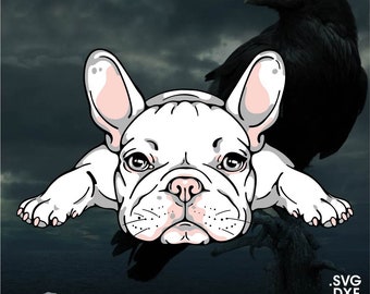 French Bulldog, Frenchie, Vector for Cricut/ Silhouette, Digital Instant Download svg, dxf, pdf, png