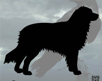 Australian Shepherd, Vector for Cricut/ Silhouette, Digital Instant Download svg, dxf, pdf, png