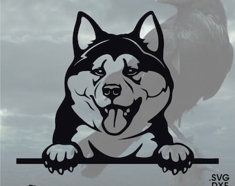 Akita, Vector for Cricut/ Silhouette, Digital Instant Download svg, dxf, pdf, png