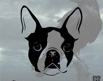 Boston Terrier Face, Vector for Cricut/ Silhouette, Digital Instant Download svg, dxf, pdf, png
