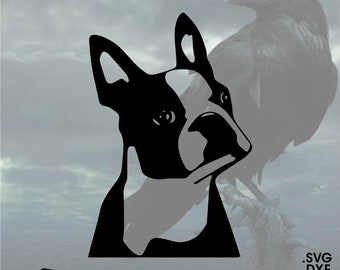 Boston Terrier, Vector for Cricut/ Silhouette, Digital Instant Download svg, dxf, pdf, png