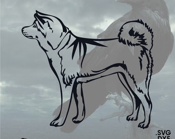Akita, Vector for Cricut/ Silhouette, Digital Instant Download svg, dxf, pdf, png